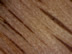 oak wood cube